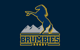 Brumbies